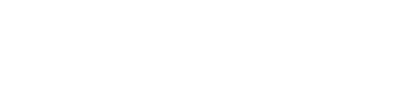 TypeSafe AI